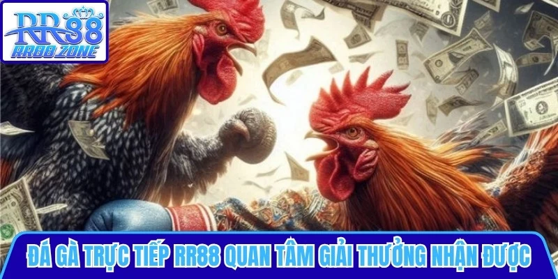 Chơi đá gà trực tiếp RR88 cần quan tâm giải thưởng nhận được